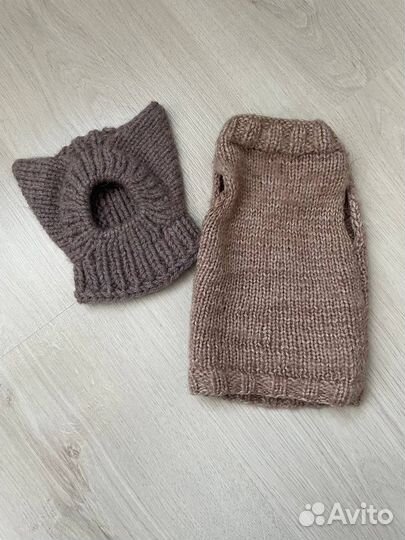 Одежда для животных