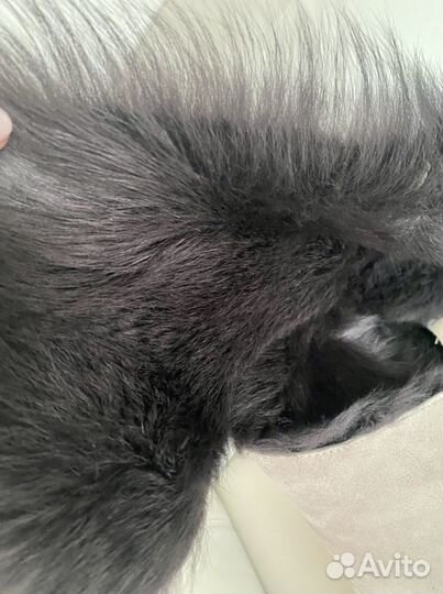 Дубленка нат, мех Тоскана, новая, 46 р