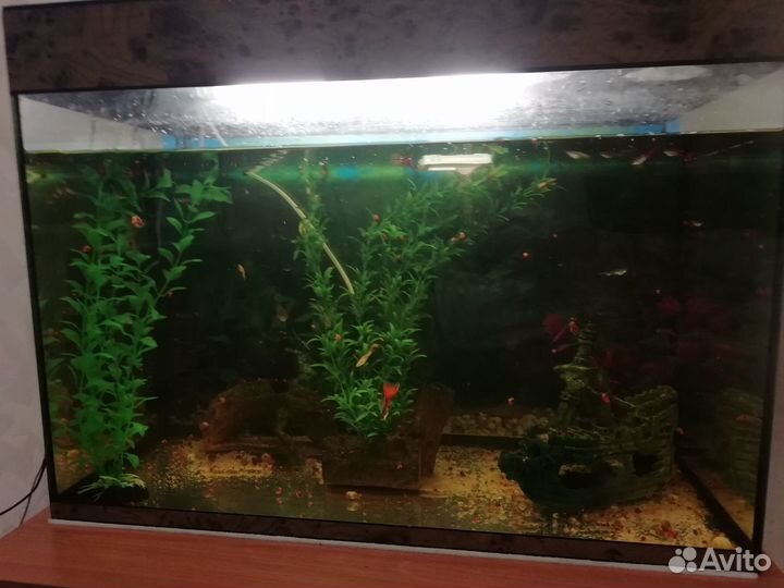 Продам аквариум 80л