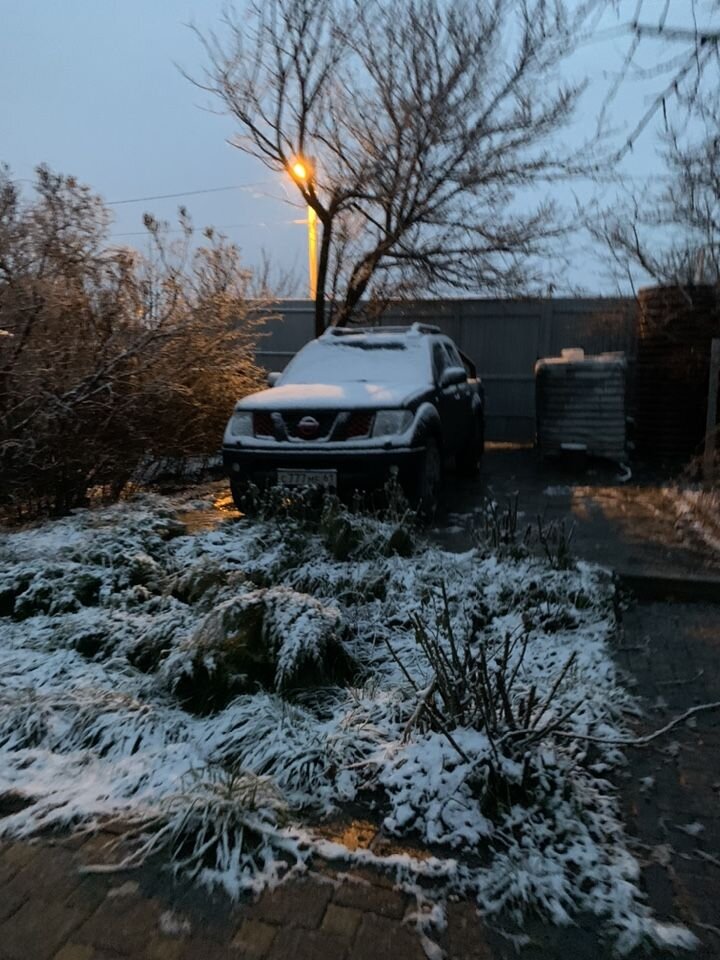 Nissan Navara: фото владельца