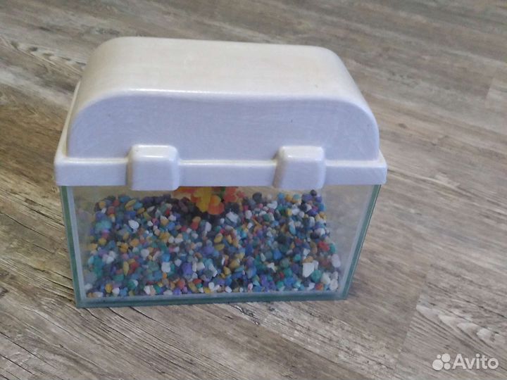 Аквариум для маленьких рыбок