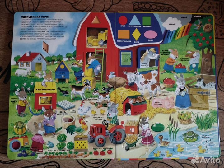 Книга -моя большая книжка с окошками