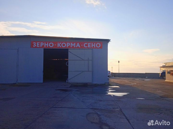 Зерно корма сено комбикорм