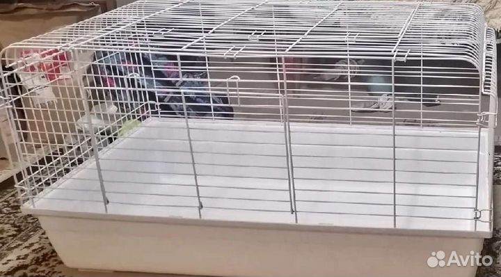Клетка для грызунов