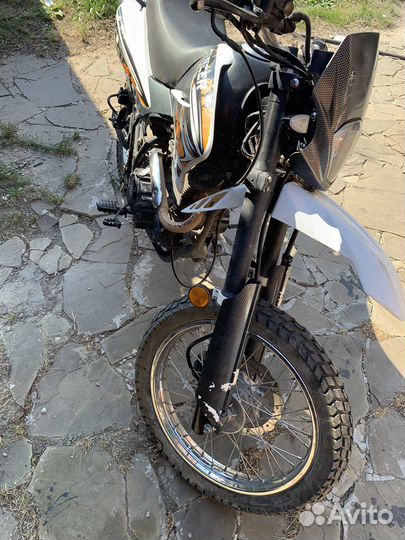 Racer panther 200