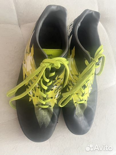 Сороконожки