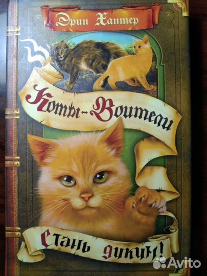 Коты-воители 
