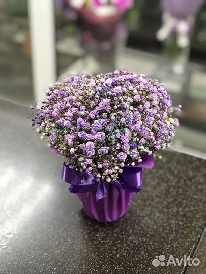 Букеты из гипсофилы