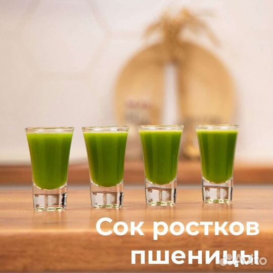 Витграсс Премиум - молодые ростки пшеницы.Сок