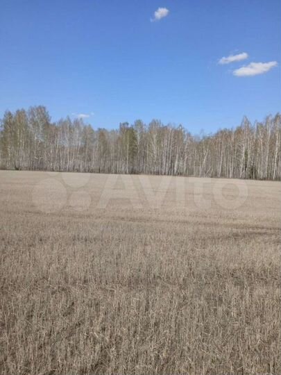 Участок 6,7 га (СНТ, ДНП)