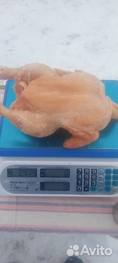 Мясо бройлера