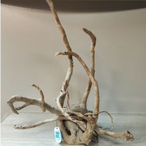 Коряги для аквариума, Благовещенск