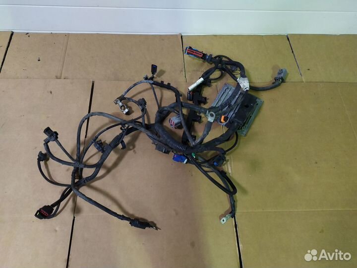 Проводка коса моторная Форд Фокус 2 1.6 л