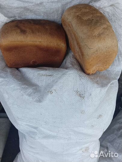 Корма для животных