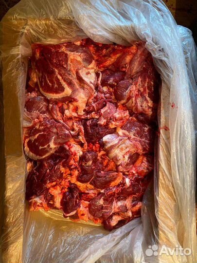 Мясо говядина для собак