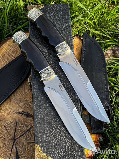 Беркут Кизляр