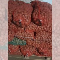 Семейной картофель