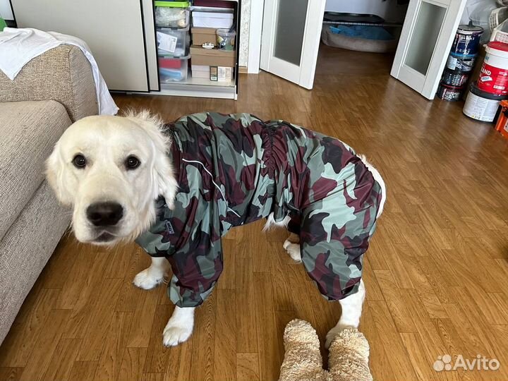 Пеший курьер доставка по Москве