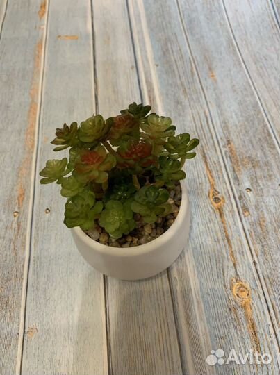 Светильник цветок термобокал