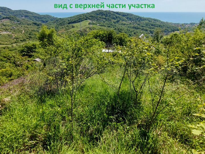 Участок 5,7 сот. (СНТ, ДНП)