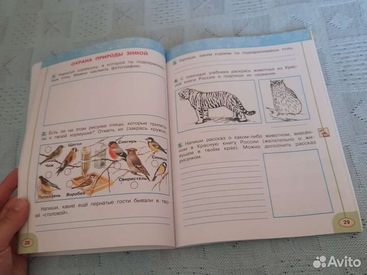 Рабочая тетрадь по окружающему миру 2 класс