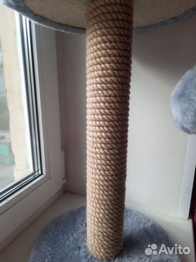Когтеточка+лежанка новая