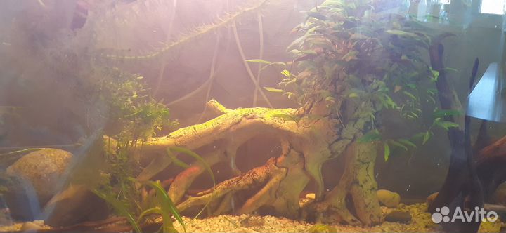 Декор для аквариума