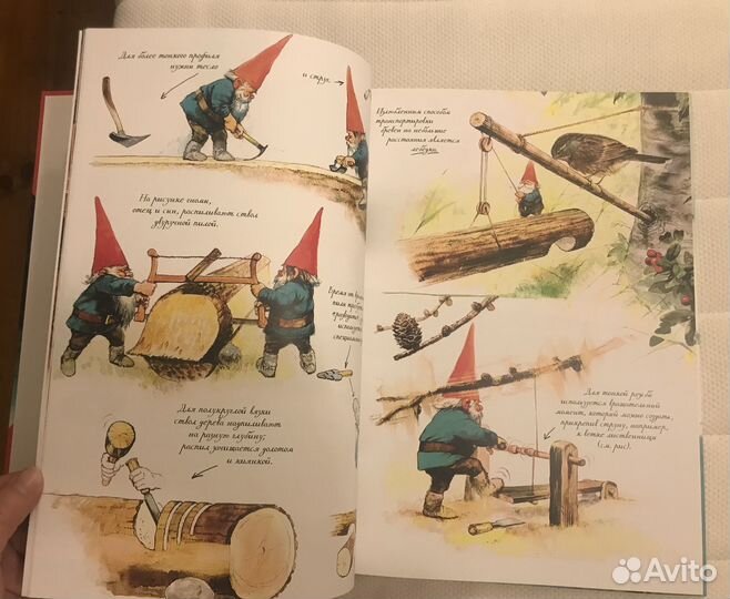 Книга детская Тайны гномов. Вил Хейген