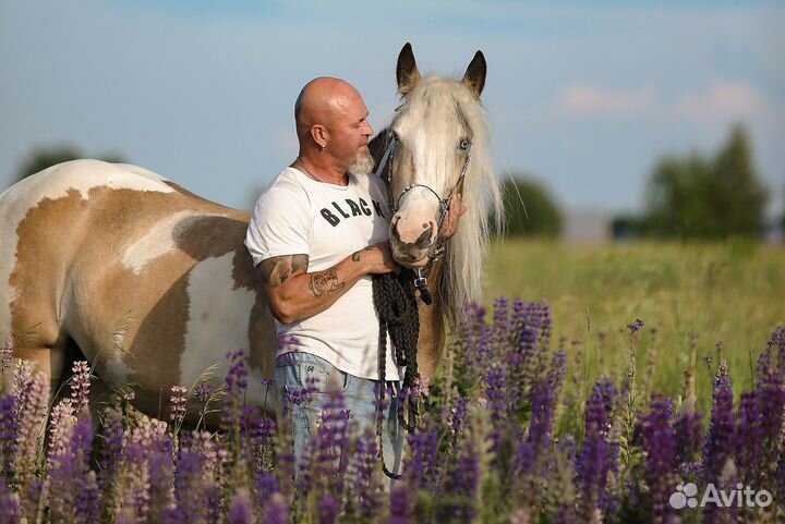 Тинкеры, мини-пони Уроки верховой езды Фотосессии