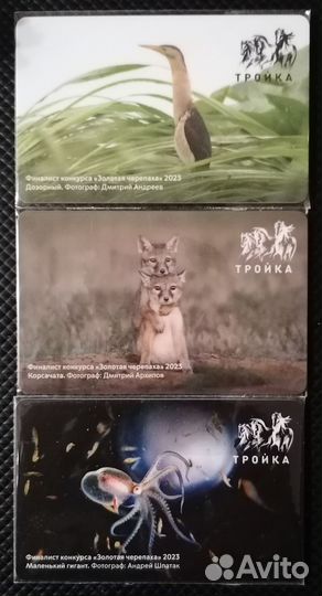 Карты Тройка животные