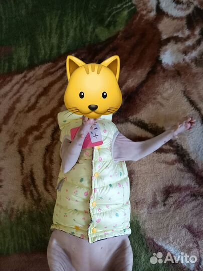 Одежда для кошек.Для Сфинкса