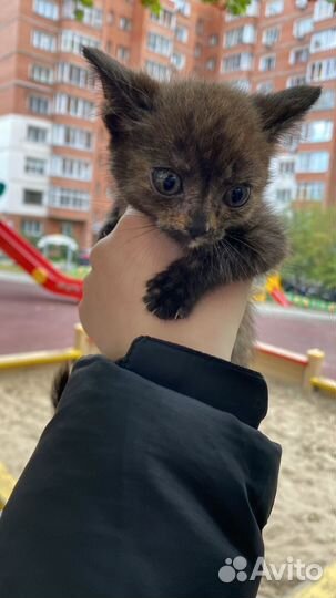 Милашка чудо