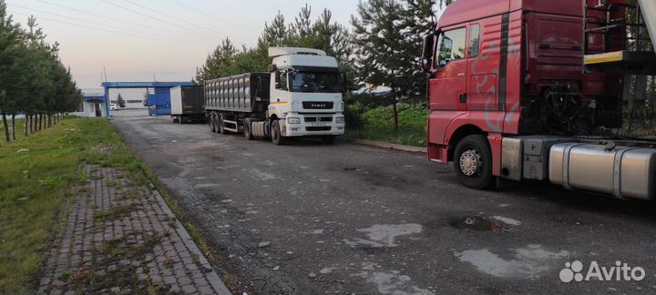 Полуприцеп самосвальный WIELTON NW 3 S 39 PKD, 2022