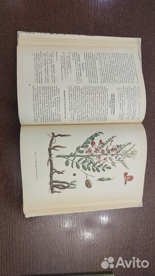 Книги о лечении лекарственными растениями