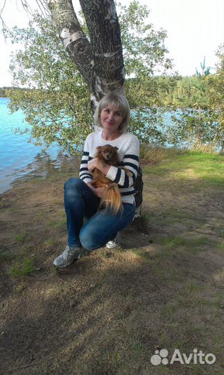 Передержка собак мелких пород