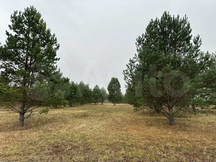 Участок 11 сот. (ИЖС)