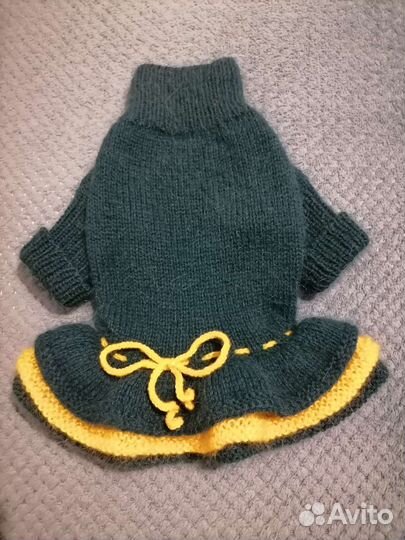 Одежда для собак