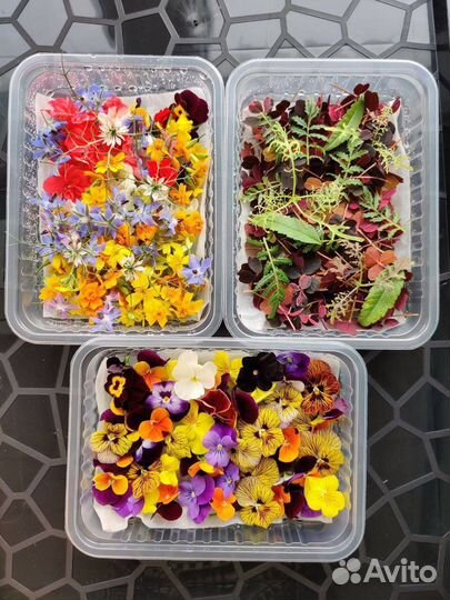 Новая свободная ниша в твоем городе. обучение