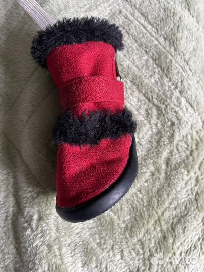 Обувь для маленьких собак