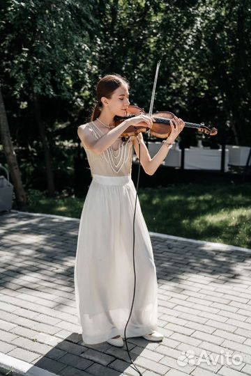 Скрипачка на праздники
