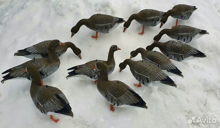 Чучела гуся sport plast lc 940