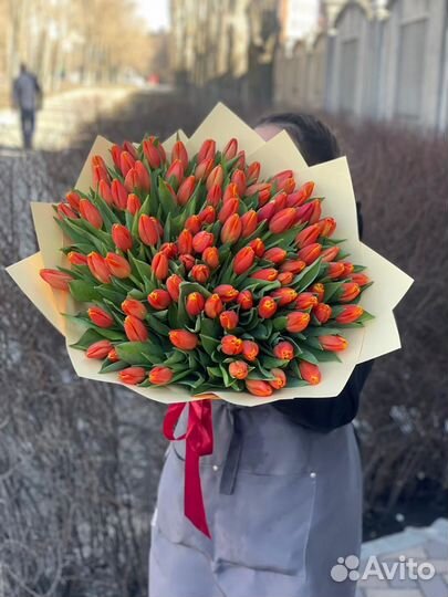 Букет из 51 тюльпана