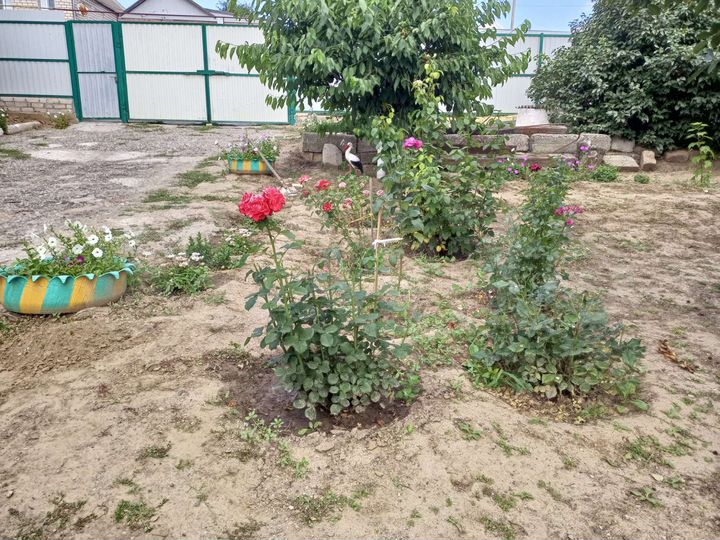 Дом 70 м² на участке 6 сот.