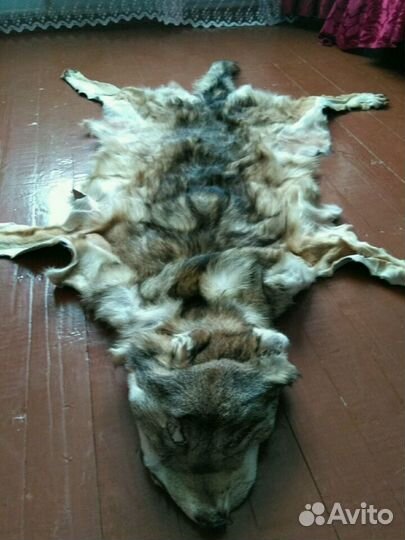 Шкура волка