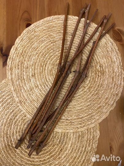 Черенки винограда