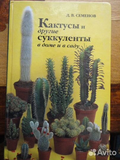 Кактусы и другие суккуленты в доме и в саду