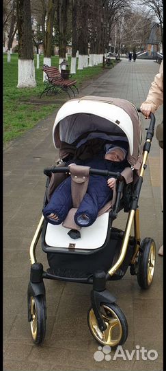Коляска 2 в 1 adamex reggio