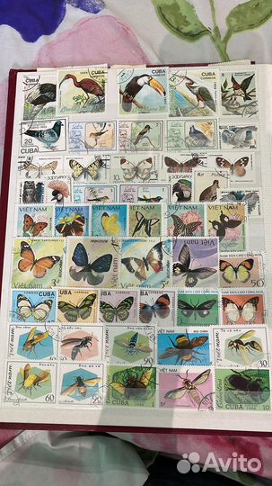 Почтовые марки