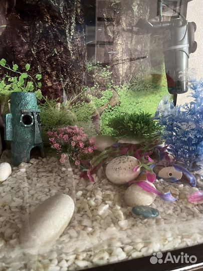 Аквариум 50 литров с тумбой