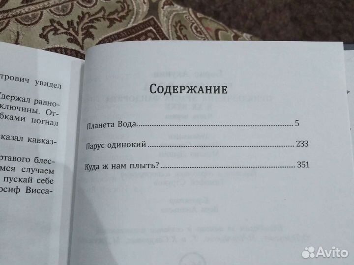 Абсолютно новая книга Акунина